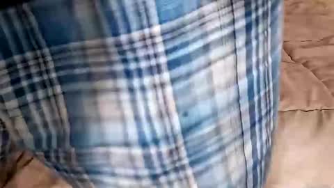 Dickinabox online show from September 14, 9:47 pm