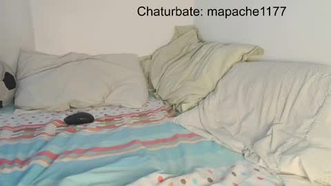 mapache1177 online show from May 21, 6:59 pm
