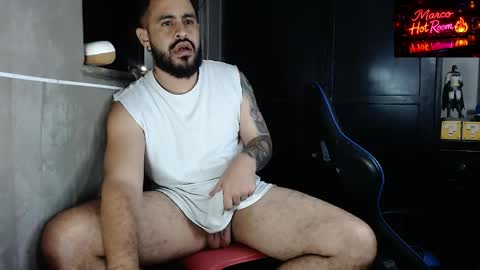 Snapshot of marco_aure chatting on May 20, 12:17 am marco_aure online show from May 20, 12:17 am