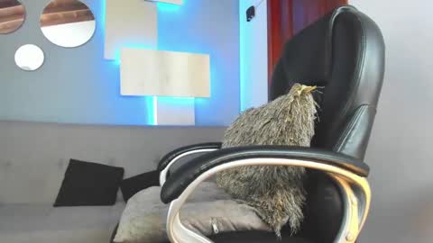 Snapshot of marcus_jax1 chatting on February 14, 4:37 am Marcus Jax1 online show from February 14, 4:37 am