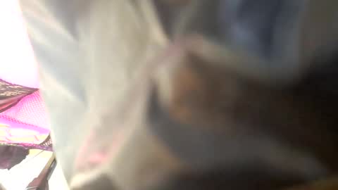 Snapshot of maria666cd chatting on October 4, 8:45 am Maria Magdalena online show from October 4, 8:45 am