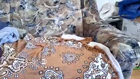 marian20242025 online show from March 11, 8:53 am