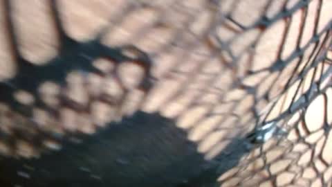 Snapshot of marielahorny303av chatting on December 21, 2:24 pm marielahorny303av online show from December 21, 2:24 pm