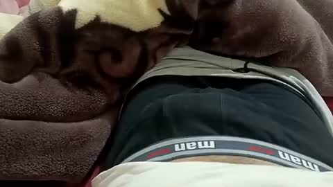 Snapshot of marocreda33 chatting on January 30, 8:53 pm marocreda33 online show from January 30, 8:53 pm