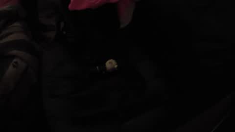 Snapshot of martamoontrans chatting on November 17, 10:32 am martamoontrans online show from November 17, 10:32 am