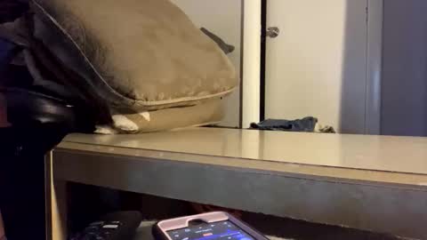 Snapshot of martasub chatting on December 15, 4:11 pm martasub online show from December 15, 4:11 pm