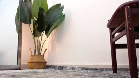 marthina thompson online show from December 24, 4:08 pm