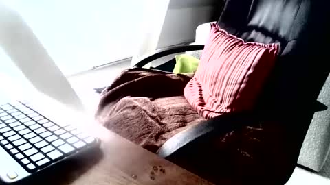 maskime59 online show from December 9, 9:06 am