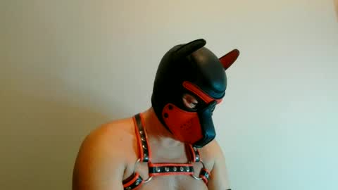 Snapshot of maskpor2022 chatting on July 4, 8:04 pm MaskPor2022 online show from July 4, 8:04 pm