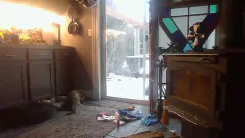 Snapshot of masterdurt chatting on February 15, 2:22 pm The Big Duurty online show from February 15, 2:22 pm