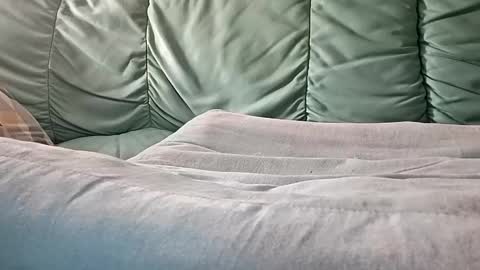 Snapshot of mathisdavid6757 chatting on November 9, 8:56 am mathisdavid6757 online show from November 9, 8:56 am