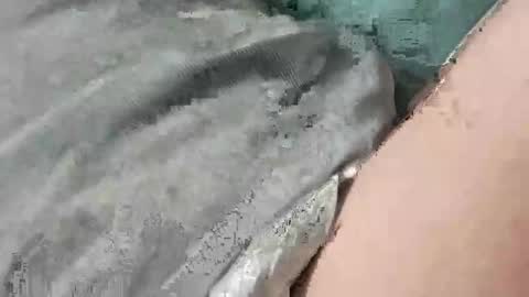 Snapshot of mathisdavid6757 chatting on November 22, 1:32 pm mathisdavid6757 online show from November 22, 1:32 pm