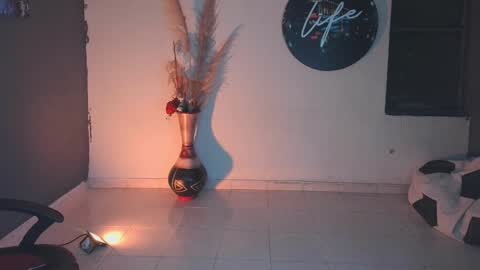 Snapshot of mattias_dantee chatting on January 24, 2:07 am mattias online show from January 24, 2:07 am