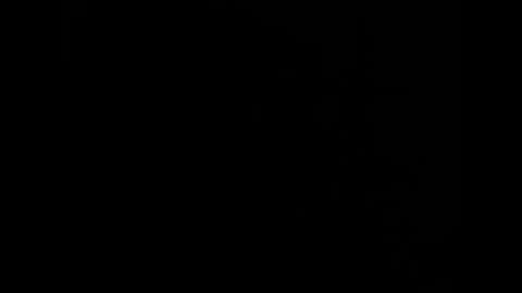 NiceBigJuicyHead online show from September 19, 11:00 am