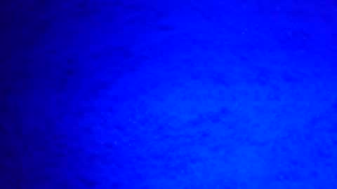 Snapshot of mauriciano2018 chatting on December 29, 8:22 am Ignacio online show from December 29, 8:22 am