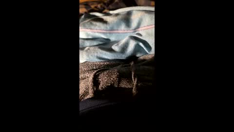 maxhot9977 online show from March 20, 6:57 pm