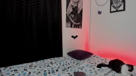 Snapshot of maxi_styles chatting on March 3, 4:36 am Alex online show from March 3, 4:36 am