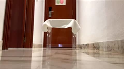 Snapshot of maximo1991 chatting on December 14, 6:19 am maximo1991 online show from December 14, 6:19 am