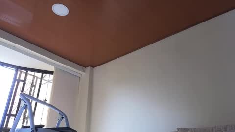 Sebastian online show from January 13, 3:26 pm