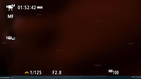 Snapshot of maximus_787 chatting on January 31, 11:35 pm Maximus7871 online show from January 31, 11:35 pm