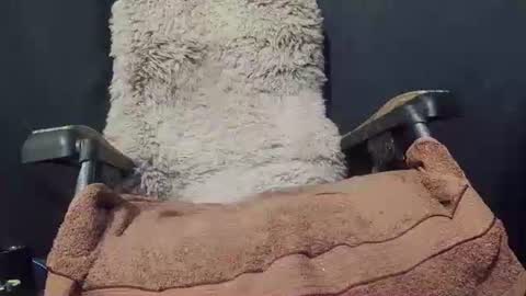 Max online show from January 8, 9:34 pm