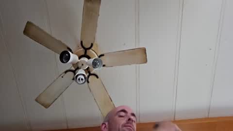 maxlme2721063 online show from June 11, 7:34 pm