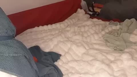 Snapshot of maybeanal chatting on October 12, 5:06 am maybeanal online show from October 12, 5:06 am