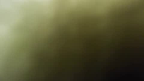 Snapshot of maylee_x chatting on February 15, 12:01 pm maylee_x online show from February 15, 12:01 pm