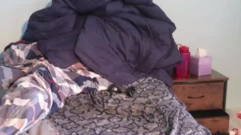 Sean online show from November 11, 1:33 pm