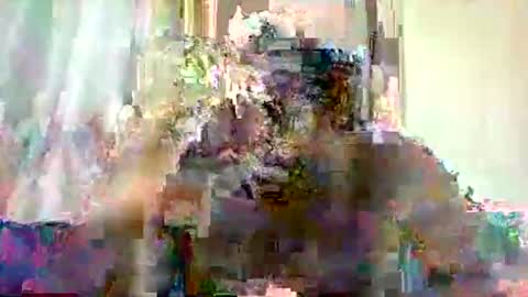 Snapshot of mclntz_bbc chatting on May 13, 12:24 pm mclntz_bbc online show from May 13, 12:24 pm