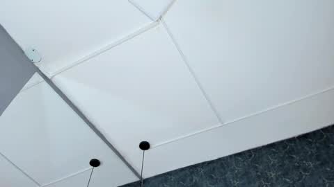 Medusa Ts online show from November 7, 8:25 am