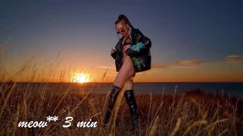 Sweet Meow nonude online show from September 19, 7:32 am