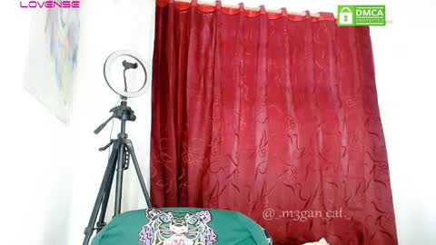 Snapshot of megan_cat chatting on November 7, 1:44 pm megan_cat online show from November 7, 1:44 pm