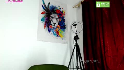 Snapshot of megan_cat chatting on November 11, 11:21 am megan_cat online show from November 11, 11:21 am