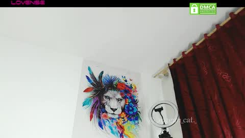 Snapshot of megan_cat chatting on November 13, 10:52 pm megan_cat online show from November 13, 10:52 pm