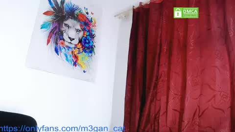 Snapshot of megan_cat chatting on December 4, 12:14 pm megan_cat online show from December 4, 12:14 pm