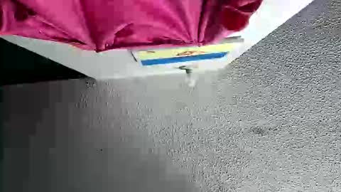 Megan and sophi online show from October 18, 2:18 pm