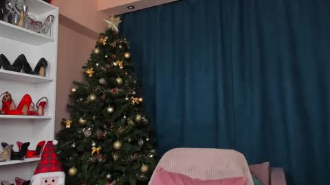 Megan online show from December 23, 6:55 am