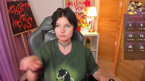 Snapshot of mekurisu chatting on January 17, 7:41 am mekurisu online show from January 17, 7:41 am