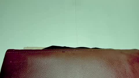 Snapshot of melania_browis chatting on November 6, 3:51 am Melania online show from November 6, 3:51 am