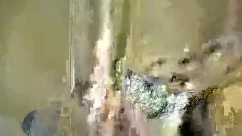 Baby online show from December 4, 6:38 pm