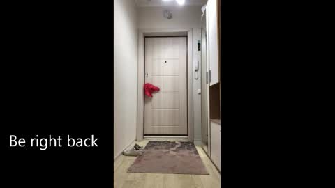 Melina online show from February 25, 9:08 am