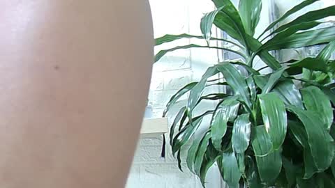 Melissa online show from January 23, 11:37 am