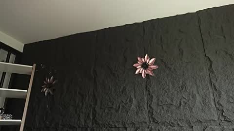 Melissa online show from February 12, 12:44 pm