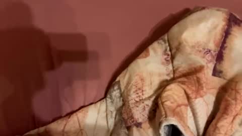 melissa9040 online show from February 9, 11:20 pm