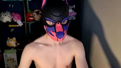 Snapshot of mellpup chatting on June 24, 12:15 pm MellPUP online show from June 24, 12:15 pm