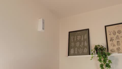  Memphis Williams  online show from February 17, 4:20 am