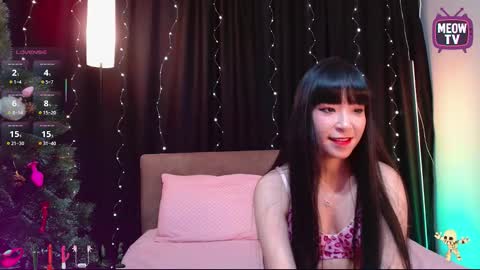 meowkami online show from November 23, 11:59 pm