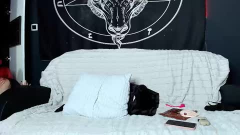 meowroslava online show from November 17, 10:32 am