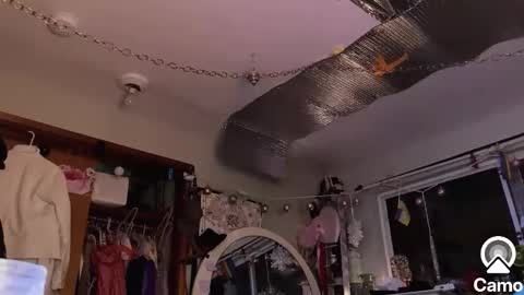 Snapshot of merelyalover chatting on January 30, 2:06 am gurlnips online show from January 30, 2:06 am